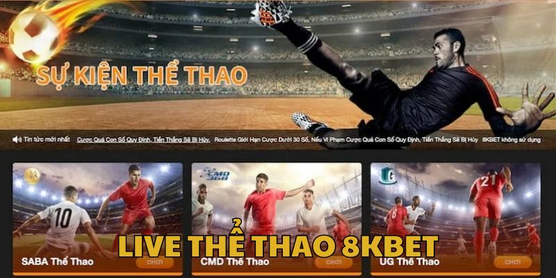 Theo dõi live thể thao tại 8kbet