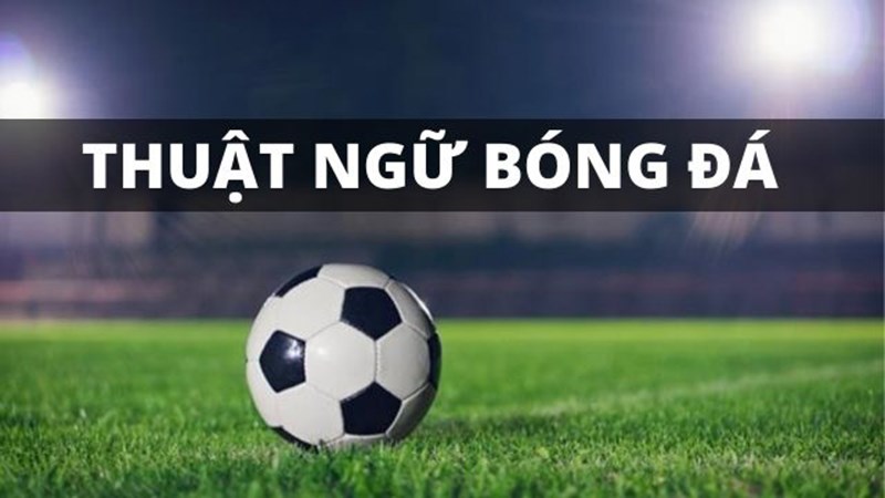 Tổng hợp thuật ngữ cơ bản trong bóng đá