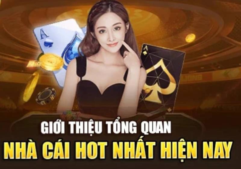 Tổng quan nhà cái 8kbet