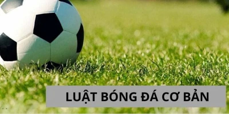 Điều luật tạo ra một sân chơi công bằng